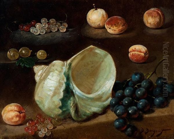 Study Of Shell And Fruit - view 1