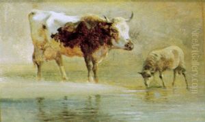 Tiere Am Bachufer Tiere Am Bachufer