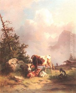 Almlandschaft Mit Rindern Almlandschaft Mit Rindern