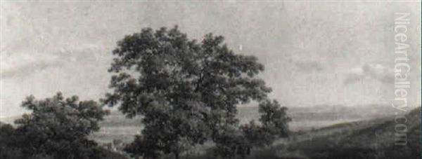 Blick In Eine Weite Landschaft In Niederosterreich - view 1