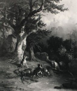 Steirische Bracken Verbellen Einen Toten Rehbock Steirische Bracken Verbellen Einen Toten Rehbock