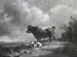 Kuh Mit Kalb Auf Der Weide