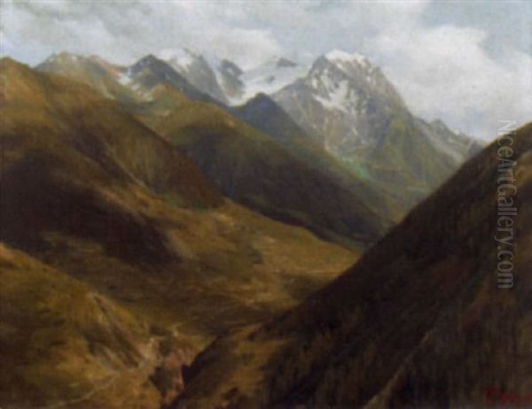 Val D'entremont Et Grand Combin - view 1