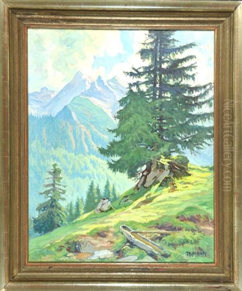 Blick Auf Die Rotspitze Bei Hindelang - view 1