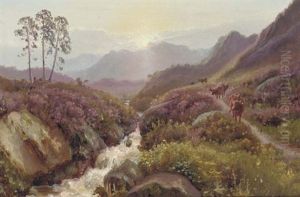 Cattle By A Brook, Hathersage, Derbyshire