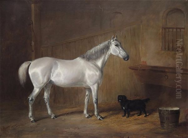 A Grey In A Stable With A Dog - view 1