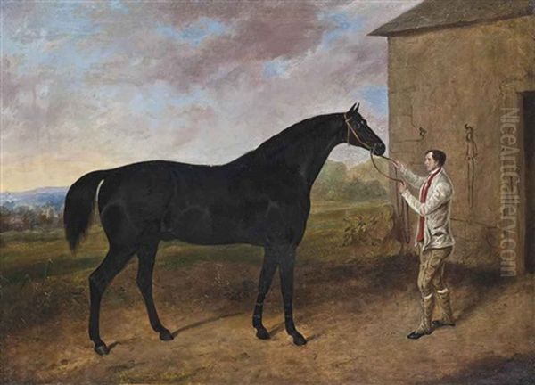 A Dark Bay Hunter And His Groom - view 1