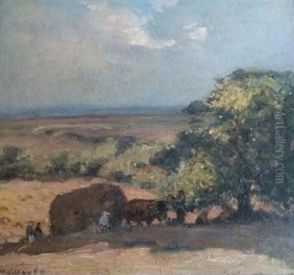 Paysage De Moisson En Creuse - view 1