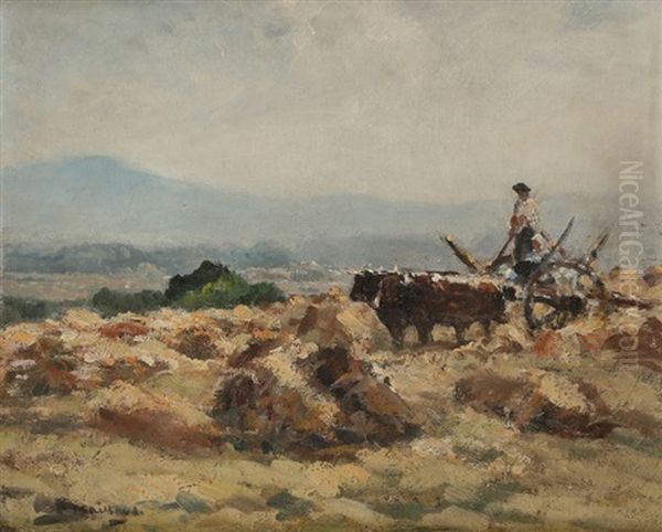 Paysan A La Charrette - view 1