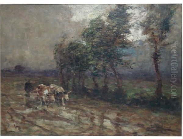 Attelage De Boeufs Par Temps Gris - view 1