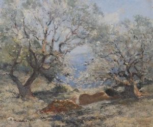 Bord De Mer Au Lavandou Ou Provence Femme Couchee Sous Les Oliviers