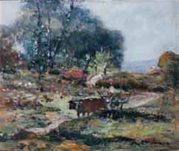 Attelage De  Boeufs - view 1