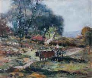 Attelage De  Boeufs