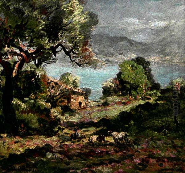Bord De Mer En Provence - view 1