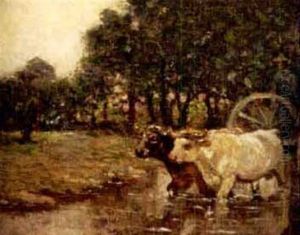 Ox Cart Fording A Stream