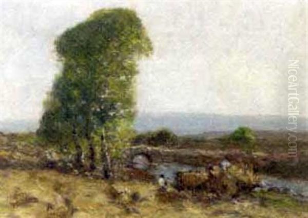 Crossing The Brook - view 1