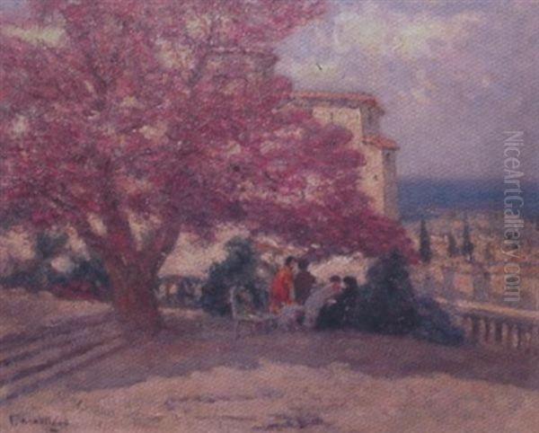 L'arbre De Judee Aux Vieux Chateau Hyeres - view 1