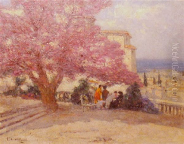 L'arbre De Judee Aux Vieux Chateau Hyeres - view 1