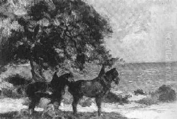Chevaux Au Repos Au Bord De La Mer - view 1