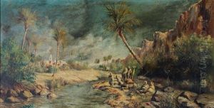 Paysage D'oasis