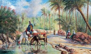 Oasis Animee by Louis Maisonneuve