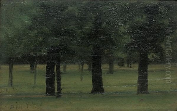 Trees In Kensington Gardens (study) - view 1