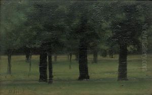 Trees In Kensington Gardens (study) by Paul Fordyce Maitland