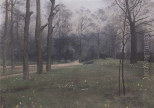 Daffodils In Kensington Gardens - view 1