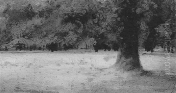 Clearing In Kensington Gardens - view 1