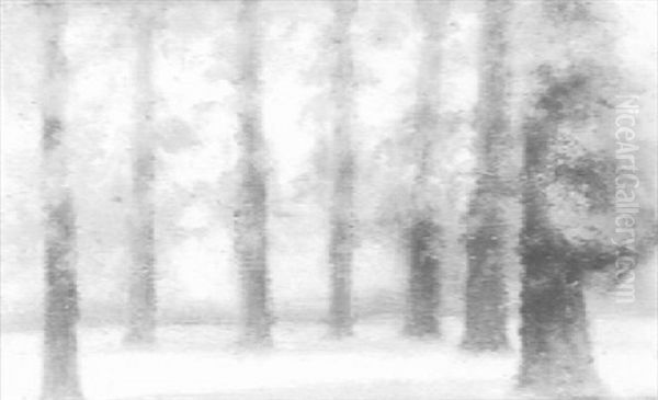 Sunset Behind The Trees, Kensington Gardens - view 1