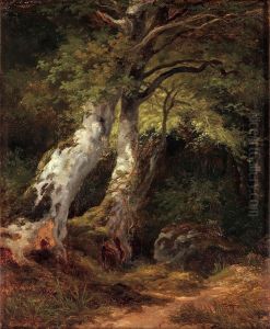 Forest Landscape Forest Landscape