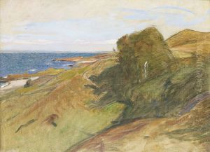 Skalderviken Vid Arild by Richard Bergh