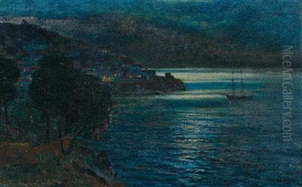 Coastal Landscape At Night - view 1