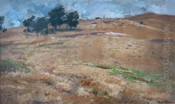 Paysage D'ete Russe - view 1