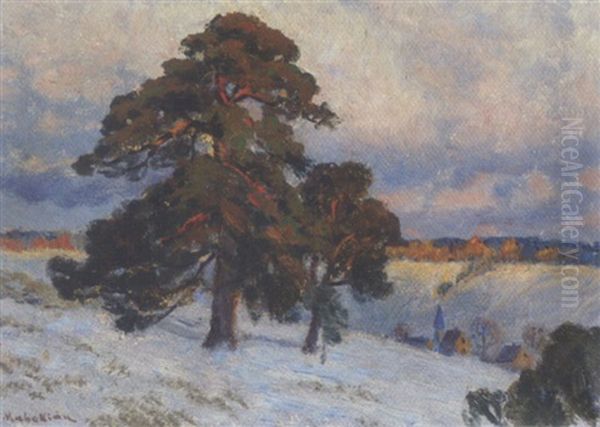 Gebirgslandschaft Im Winter - view 1