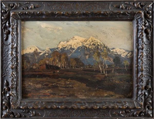 Paysage De Montagne - view 1