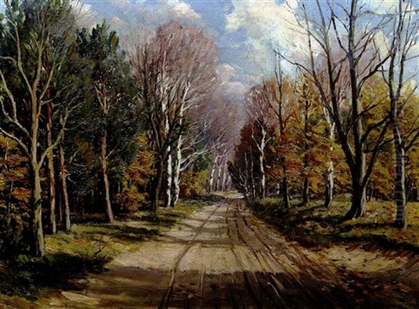 Herbstliche Waldlandschaft - view 1