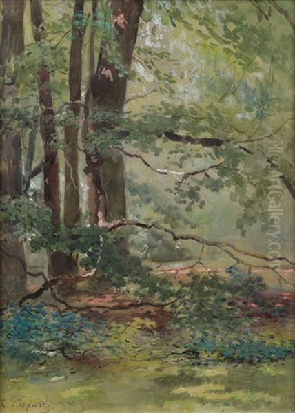 Forest View - view 1