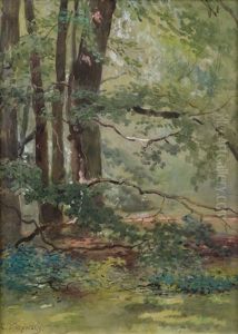 Forest View Forest View