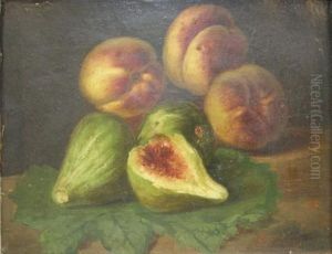 Still Life With Figs And Peaches by Francesco Malacrea