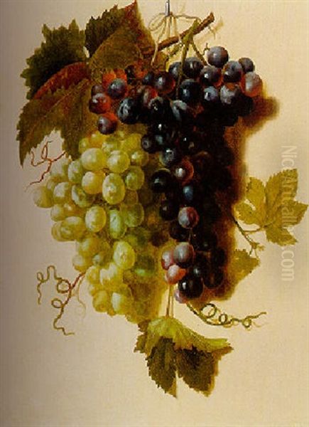 Bunches Of Green And Red Grapes Suspended From A Rope - view 1
