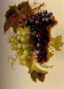 Bunches Of Green And Red Grapes Suspended From A Rope Bunches Of Green And Red Grapes Suspended From A Rope