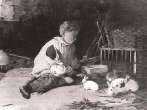 Feeding The Rabbits Feeding The Rabbits