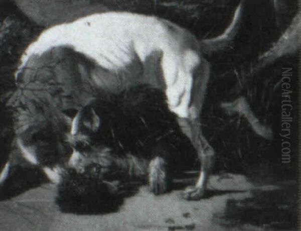 Two Dogs And A Hedgehog - view 1