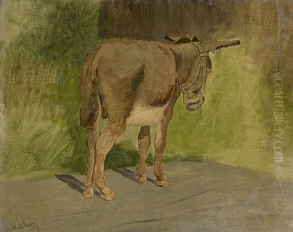 Stehender Esel - view 1