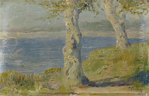 Trees By The Sea - view 1