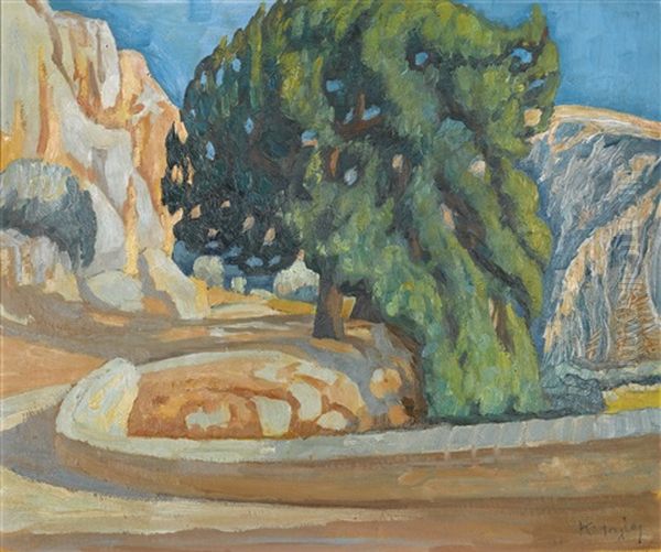 Courtyard With Tree - view 1