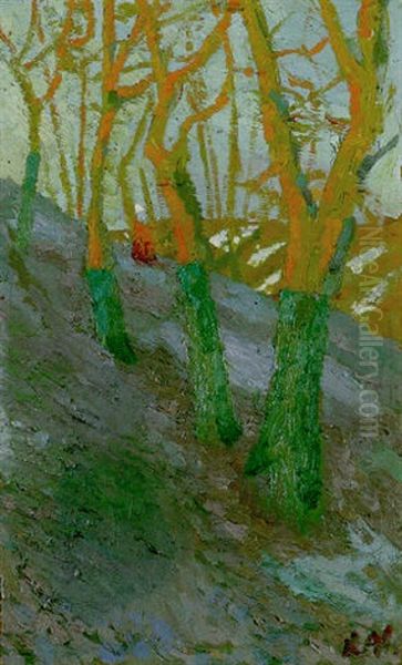 Trees - view 1