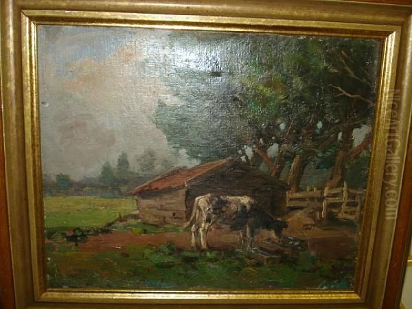 Cow Before A Wooden Shed - view 1