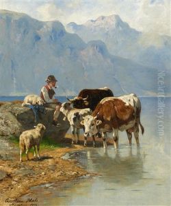 Hutebub Mit Kuhen Und Schafen Am Bergsee Hutebub Mit Kuhen Und Schafen Am Bergsee